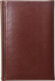 Ежедневник недатированный А6, Image, коричневый