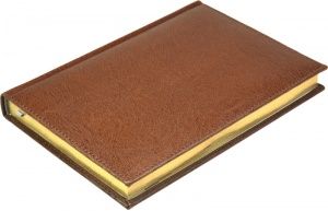 Ежедневник недатированный А5 Premium коричневый, золотой обрез