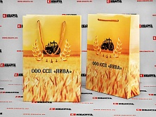 Брендированные бумажные пакеты для ООО ССП "НИВА"