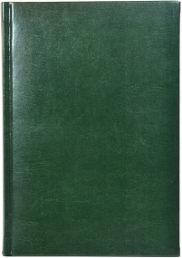 Ежедневник недатированный А5, Image, зеленый