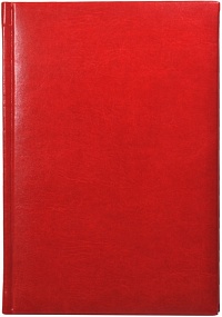 Ежедневник недатированный А5, Image, красный