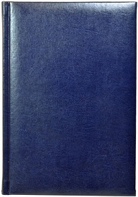 Ежедневник недатированный А5, Image, синий
