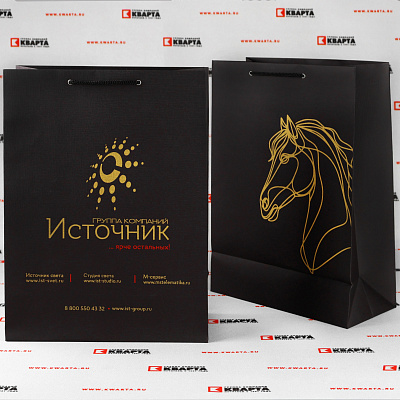 Брендированные бумажные пакеты для группы компаний "ИСТОЧНИК"