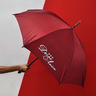 Брендированный зонт с печатью для "ДЕГАС ЛАЙТ"