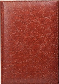 Ежедневник недатированный А5, Savanna, коричневый