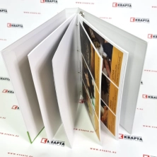 Папки